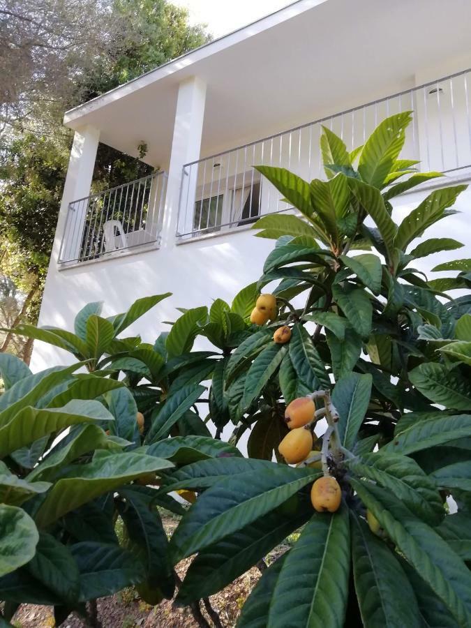 Hotel In Campagna Da Nino Olbia Exterior foto